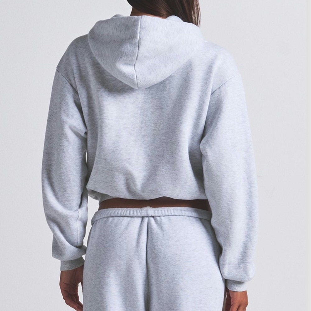Skims Cotton Fleece Classic Hoodie Light Heather Grey Small NWI - Picture 2 of 10